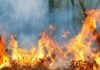Incêndio assusta moradores de aldeia indígena em Aracruz