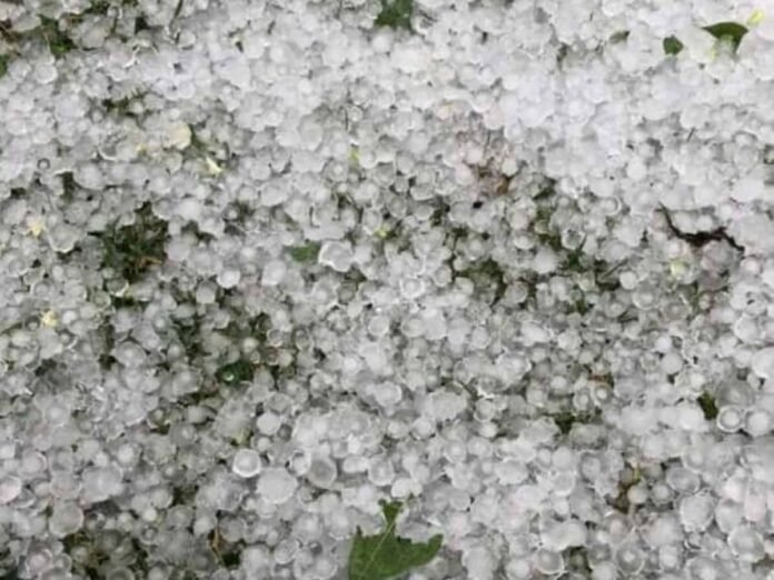 guia-branca-granizo-004_1