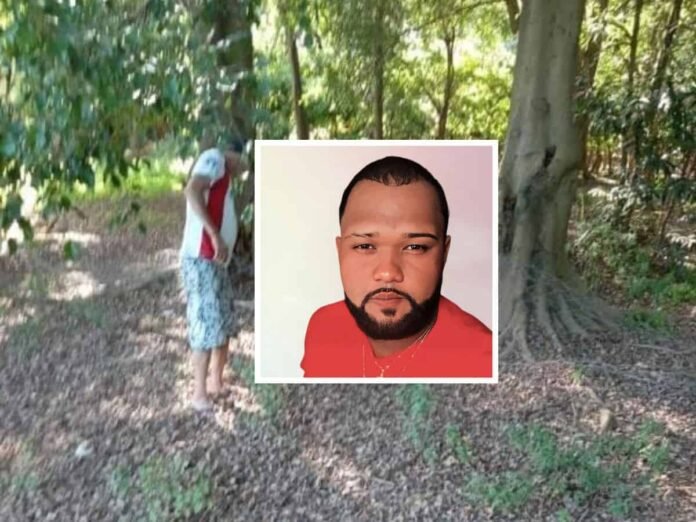 Luiz Henrique Meireles Ferreira