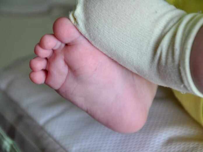 bebe (4)