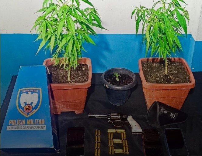 Imagem do WhatsApp de 2025-11-13 à(s) 13.27.37_a726b988