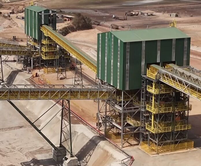 WhatsApp Image 2025-12-04 at 18.17.08