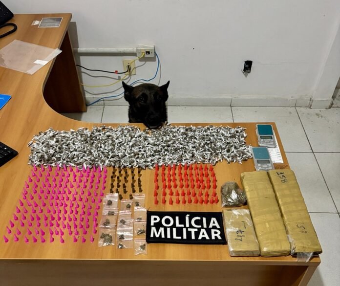 WhatsApp Image 2025-12-11 at 09.00.07