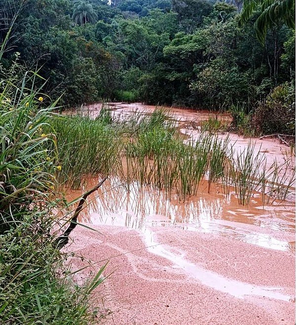 jornalggn.com.br-vazamento-de-lama-volta-a-atormentar-familias-do-corrego-do-feijao-em-brumadinho-correo-do-feijao