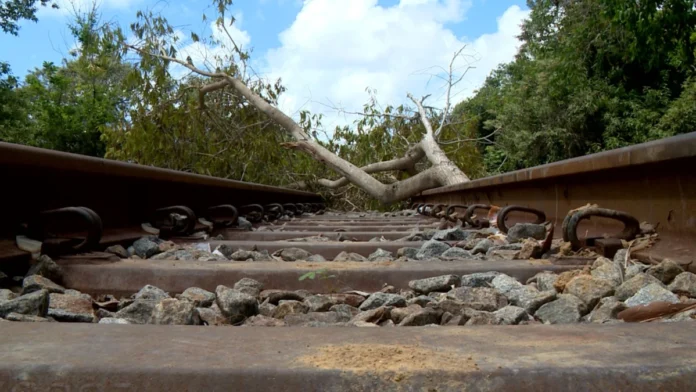 justica-manda-liberar-trecho-de-ferrovia-bloqueado-em-aracruz-3104146-article