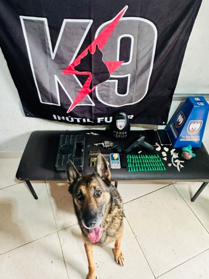 WhatsApp Image 2026-02-26 at 09.12.11