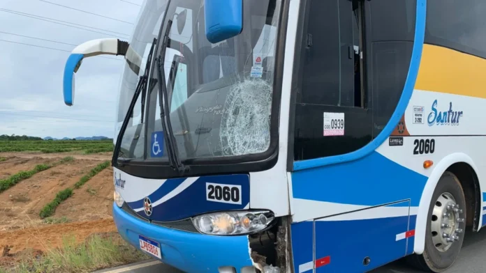 mulher-e-atropelada-por-onibus-escolar-em-linhares-3160005-article