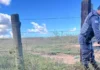 Homem é encontrado morto com sinais de agressão em pastagem de Linhares
