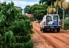 Insegurança no campo leva produtores do Norte do ES a mudar rotina durante a colheita