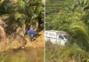 Corpo é encontrado enterrado em cafezal após denúncia de homicídio em Vila Valério