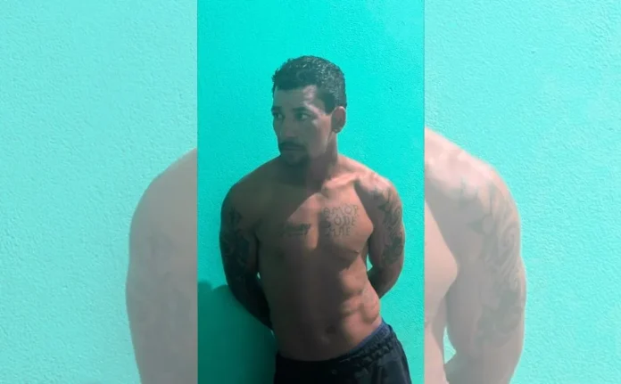 tio partihas