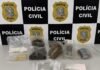 Operação apreende 17 quilos de maconha e outras drogas e prende homem em Baixo Guandu