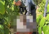 Homem é preso suspeito de matar ex-companheira a tiros na zona rural de Linhares